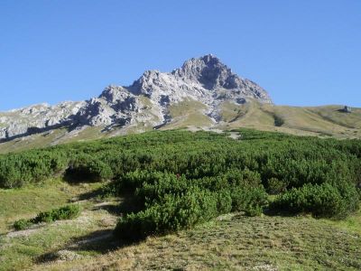 003-Blick vom Saulakopfsteig hinauf zum Saulakopf